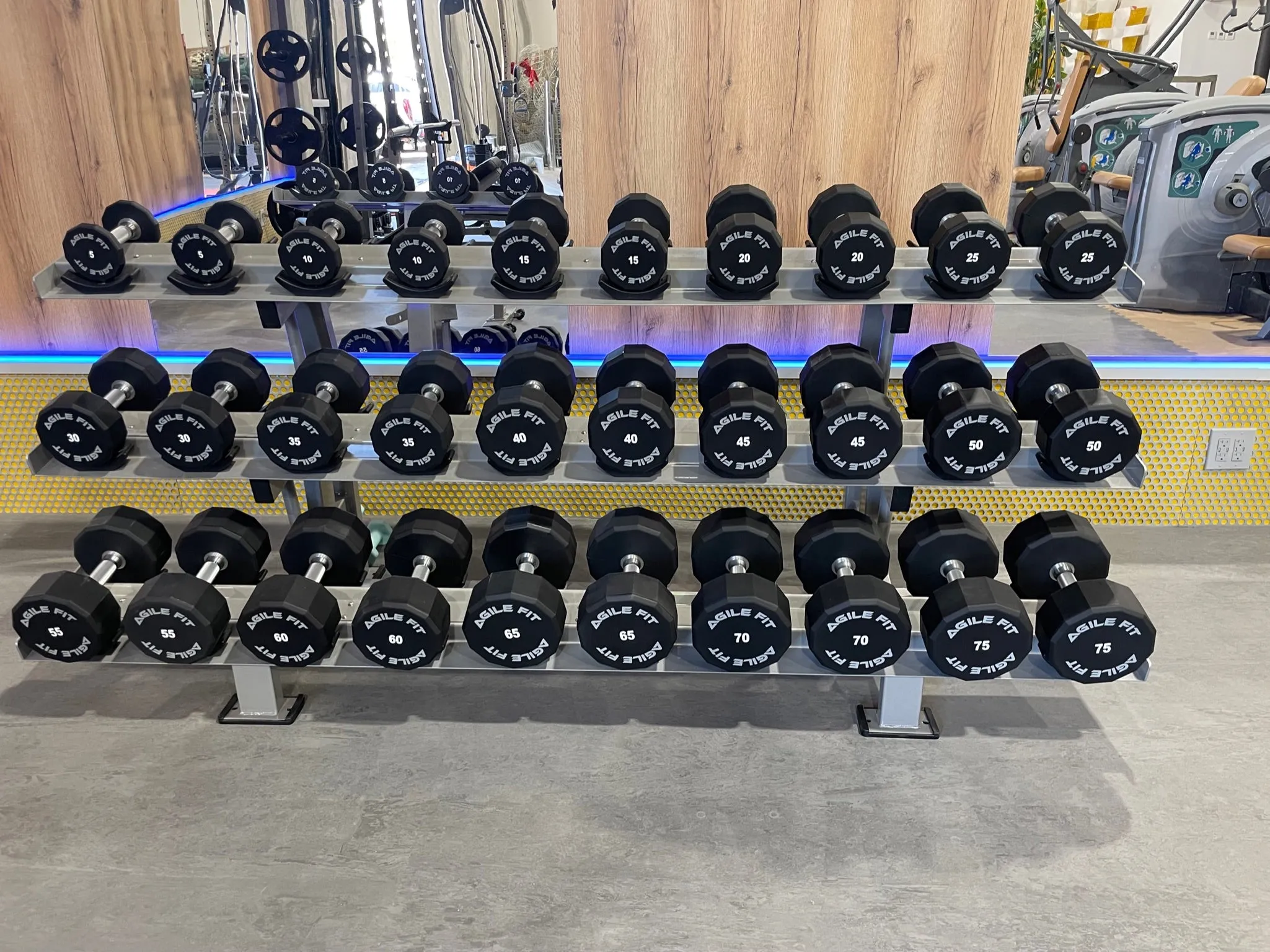 AgileFit Urethane 12 Sided Dumbbell Set 5-50lb