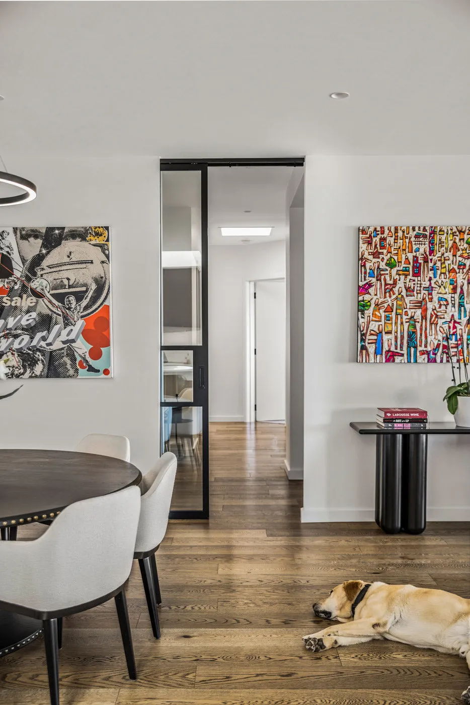 Steel Frame Glass Internal Cavity Sliding Doors - Galvanised FPS50 Profile - Zen Doors & Windows